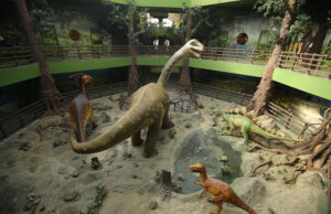 મહીસાગરના રૈયોલીમાં 16.50 કરોડ રૂ.ના ખર્ચે વિશ્વના ત્રીજા ફોસિલ પાર્કમાં ‘ડાયનાસોર મ્યુઝિયમ ફેઝ-2’નું મુખ્યમંત્રી ભૂપેન્દ્ર પટેલના હસ્તે લોકાર્પણ