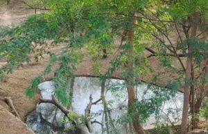 અડાલજ પાસેની ઘટના : અત્યંત વિકૃત હાલતમાં મળ્યા આવ્યા બે કંકાલ , પહેલા બંનેના શરીરના અંગો ધડથી અલગ કર્યા પછી લાશોને સળગાવી દીધી!