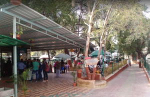 ગૂજરાત વિદ્યાપીઠમાં શિક્ષણની સાથે રોજગારી : વેકેશનમાં 30 દિવસ કામ કરો ને આખા વર્ષની ભરાઈ જશે ‘ફી’, 1 દિવસમાં 400 રૂપિયાનું વળતર મેળવે છે!