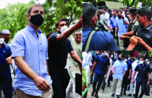 50 સવાલો સાથે EDએ રાહુલ કરી પૂછપરછ; રાહુલે ED અધિકારીને પૂછ્યું- અહીં માત્ર કોંગ્રેસ નેતાઓની પૂછપરછ થાય છે કે અન્યને પણ બોલાવાય છે!