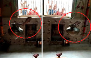 ભક્તોમા સ્વંય થયો “ચમત્કાર” : બોટાદમાં ગોતેશ્વર મહાદેવના મંદિરમાં ‘સાપ ગળતીમા’ બિરાજમાન થતાં ભક્તો દર્શન માટે ઉમટ્યા, જુઓ Video