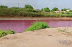 ચમત્કાર : વાવના કોરેટી ગામમાં તળાવનો કલર બદલાઇ જતાં લોકોમાં આશ્ચર્ય; તળાવના પાણીનો રંગ અચાનક થયો “ગુલાબી”, લોકોમાં સર્જાયું કુતૂહલ!