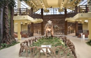 ગુજરાતની વધુ એક અજાયબી : દેશના સૌપ્રથમ અને વિશ્વના ત્રીજા ફોસીલ પાર્ક રૈયોલી ખાતે “ડાયનાસોર મ્યુઝિયમ ફેઝ-ર”નું CM 26મીએ કરશે લોકાર્પણ!