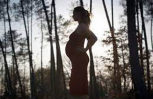 30 સપ્તાહનો ગર્ભ : બનાસકાંઠાની માનસિક અસ્થિર દુષ્કર્મ પીડિતા સંતાનને આપશે જન્મ, હાઈકોર્ટે જિલ્લા કલેક્ટરને સગીરા રહેવાની વ્યવસ્થાનો કર્યો આદેશ!