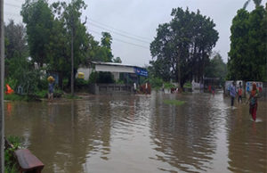 વિસનગર વેરવિખેર : 5 ઇંચ વરસાદે શહેરને ધમરોળ્યું; રંડાલા ગામ બેટમાં ફેરવાયું, ઘરોમાં પાણી તો રસ્તા પર નદી વહેવા લાગી!