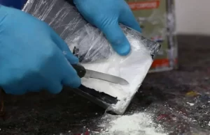 ભાજપના રાજમાં ગુજરાત બની રહ્યું છે ડ્રગ્સનું હબ !, 100ની સામે 20નું ડ્રગ્સ પકડાય છે ! : વધુ 5 હજાર કરોડનું કોકેઇન ઝડપાયું