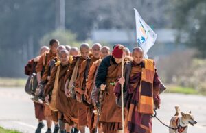 શાંતિ, પ્રેમ અને કરુણાની જાગૃતિ માટે બૌદ્ધ સાધુઓની અમેરિકાના ટેક્સાસથી વોશિંગ્ટન સુધી 2300 માઈલની પદયાત્રા