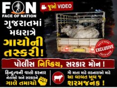 Video : ગુજરાતમાં મધરાત્રે ગાયોની તસ્કરી, પોલીસ નિષ્ક્રિય, હિન્દુત્વની વાતો કરનાર નેતાઓ અને સરકારને ગાલે તમાચો
