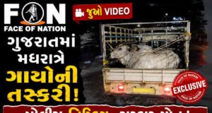 Video : ગુજરાતમાં મધરાત્રે ગાયોની તસ્કરી, પોલીસ નિષ્ક્રિય, હિન્દુત્વની વાતો કરનાર નેતાઓ અને સરકારને ગાલે તમાચો