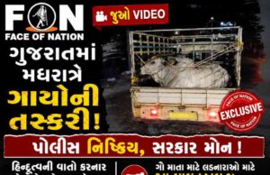 Video : ગુજરાતમાં મધરાત્રે ગાયોની તસ્કરી, પોલીસ નિષ્ક્રિય, હિન્દુત્વની વાતો કરનાર નેતાઓ અને સરકારને ગાલે તમાચો